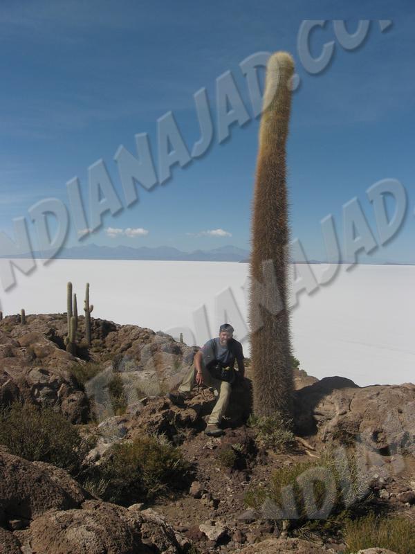 Salar de Uyuni
