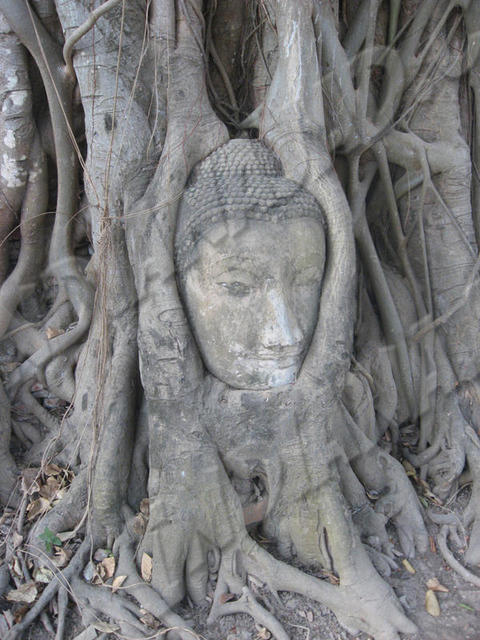 Ayuthaya