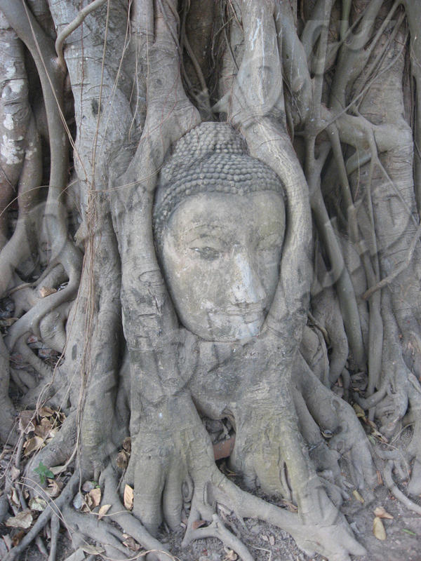 Ayuthaya