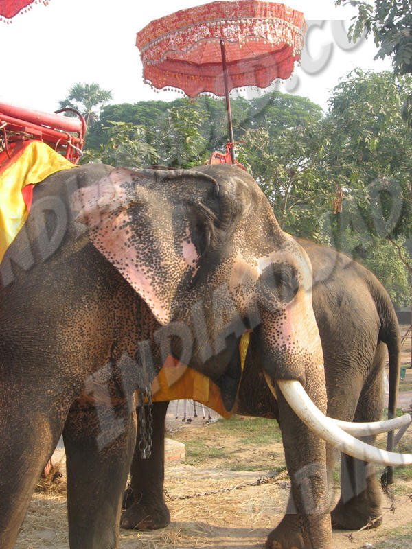 Ayuthaya