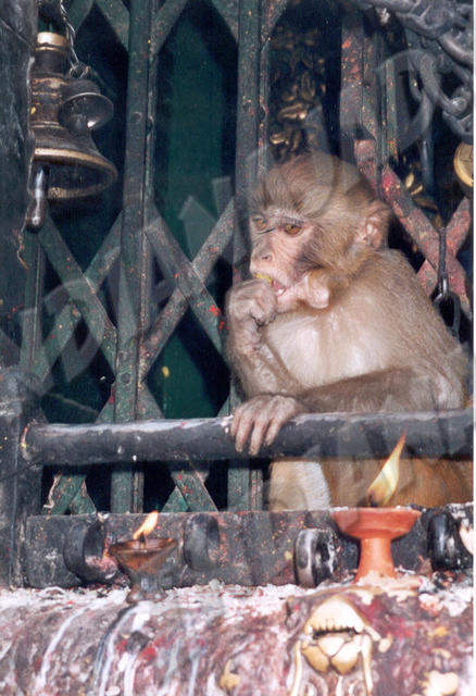 Kathmandou