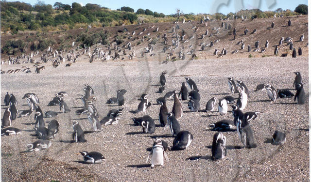 Ushuaia