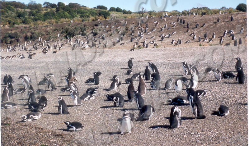 Ushuaia