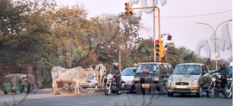 New Delhi