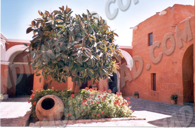 Arequipa