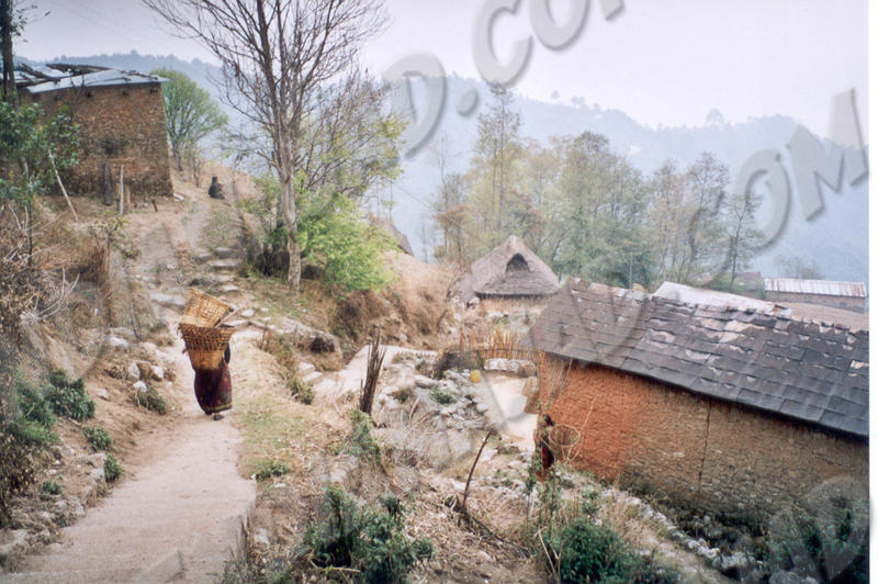 Vallée de Kathmandou