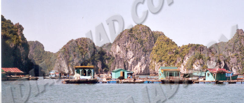 Baie d'Along