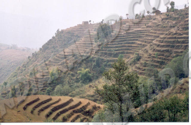 Vallée de Kathmandou