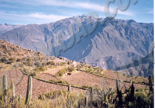 Cabanaconde