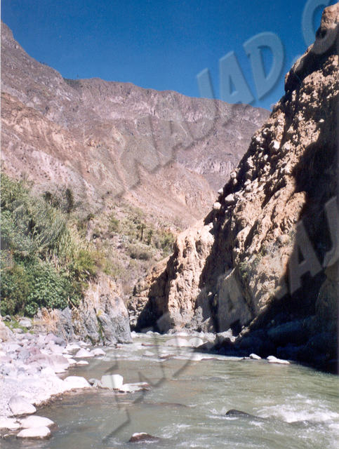 Cañon del Colca