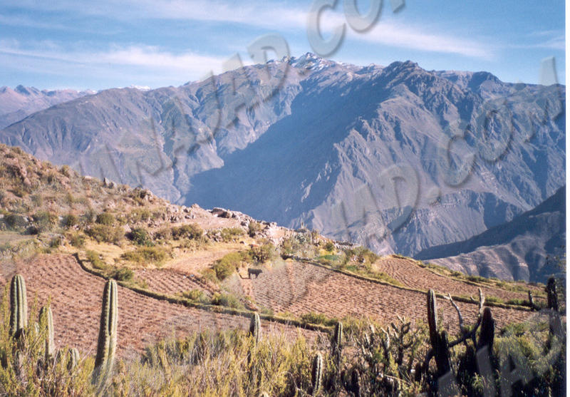 Cabanaconde