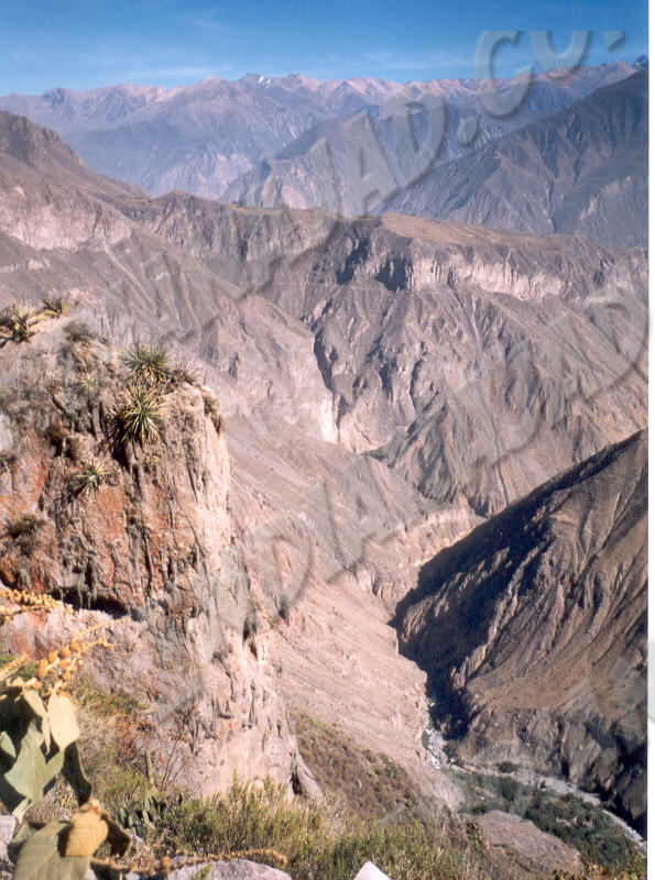 Cañon del Colca