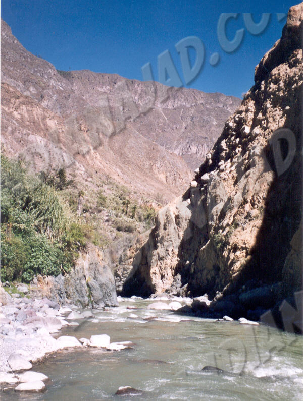 Cañon del Colca