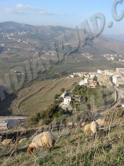 Crac des Chevaliers