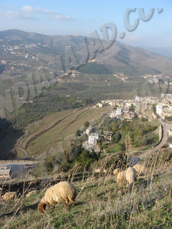 Crac des Chevaliers
