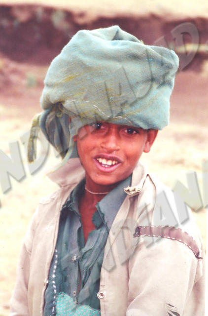 Debark