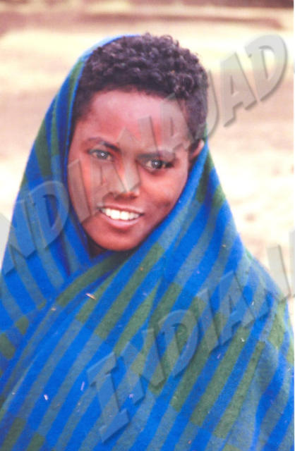 Debark