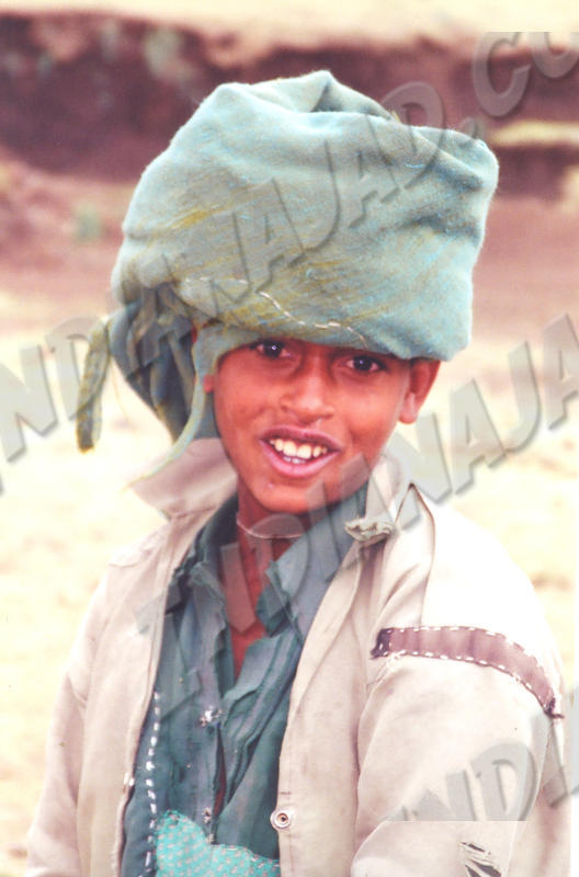 Debark