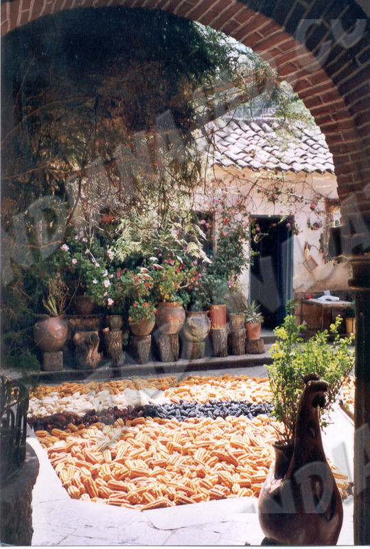 Cuzco