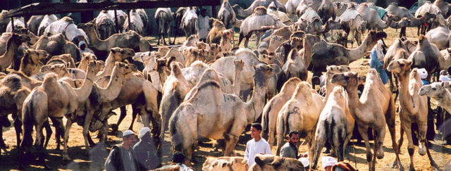 Le Caire