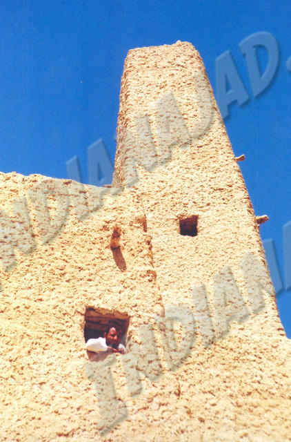 Oasis de Siwa