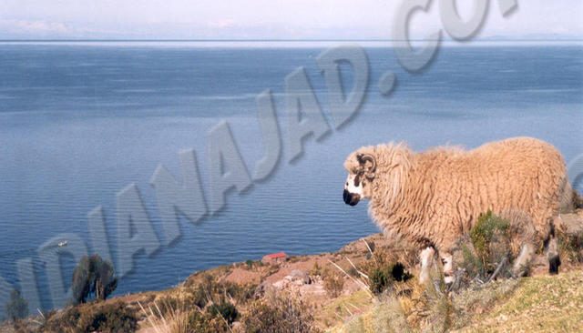 Lac Titicaca - Taquile