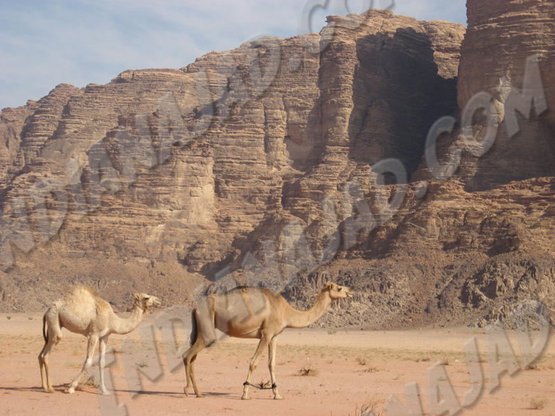 Wadi Rum
