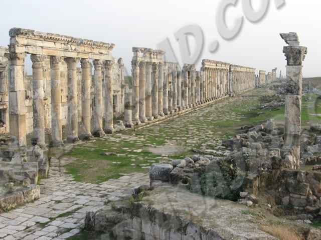 Apamea