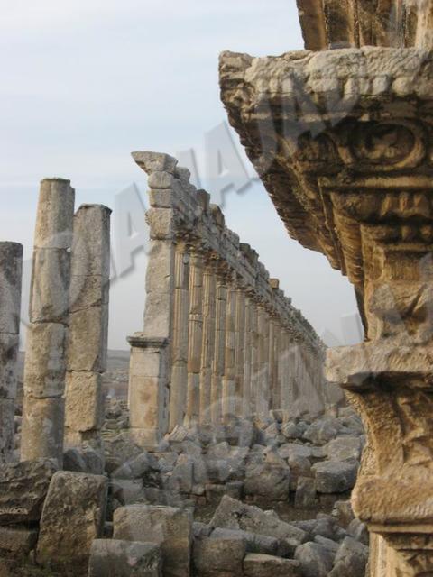 Apamea