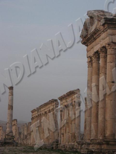 Apamea