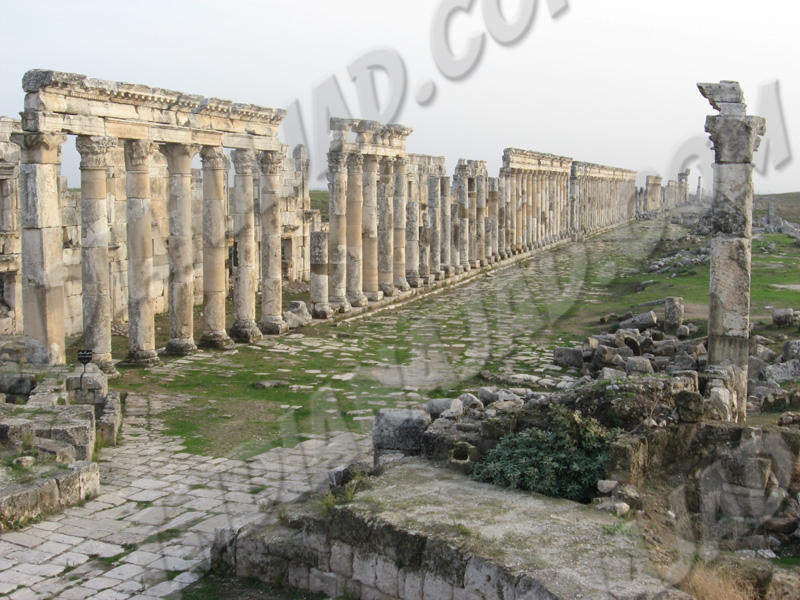 Apamea