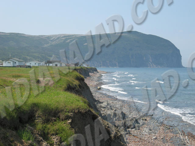 Terre-Neuve