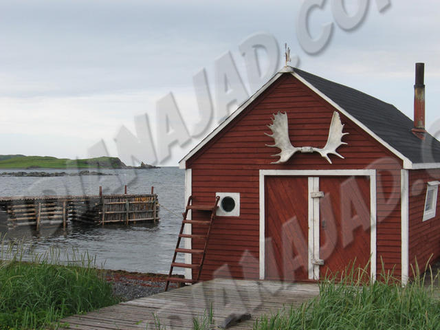 T.-Neuve - Anse-aux-Meadows