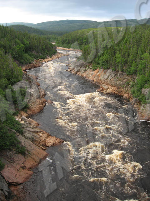 Terre-Neuve - Labrador