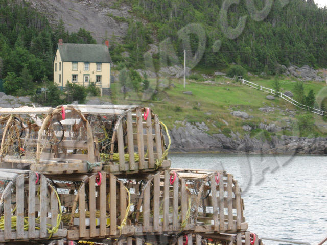 Terre-Neuve - King's Cove