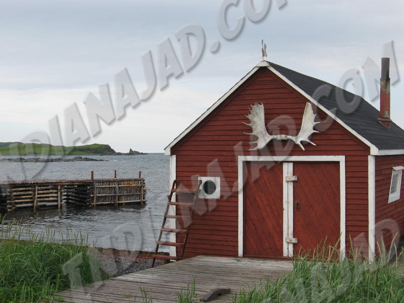 T.-Neuve - Anse-aux-Meadows