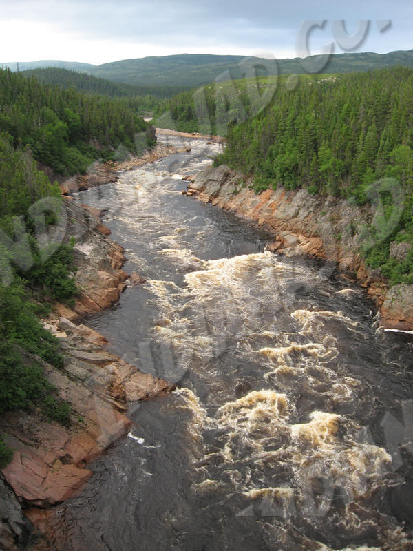 Terre-Neuve - Labrador