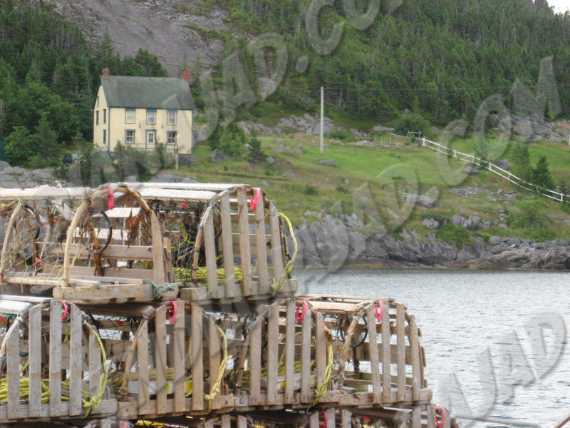 Terre-Neuve - King's Cove