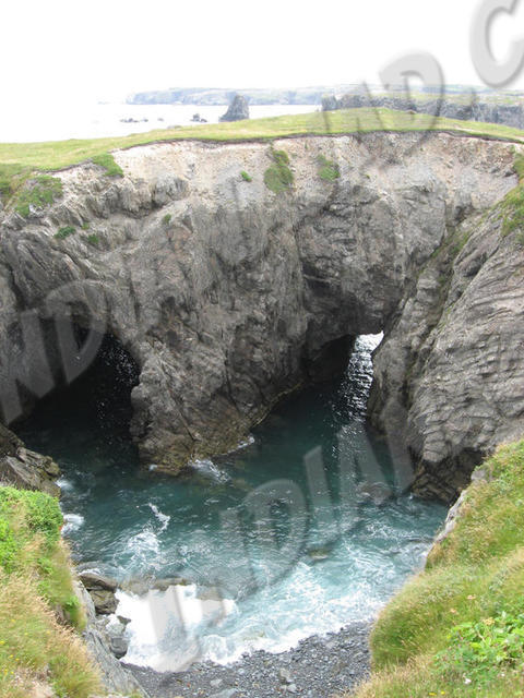 Terre-Neuve - Cap Bonavista