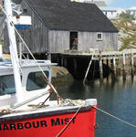Nouv.-Écosse - Peggy's Cove