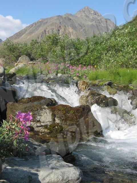 Yukon - Mont Decoeli