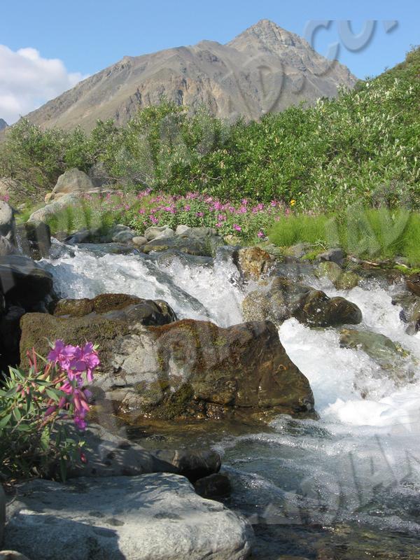 Yukon - Mont Decoeli