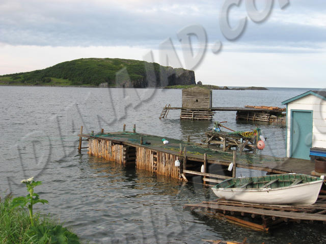 Terre-Neuve - Saint-Lunaire