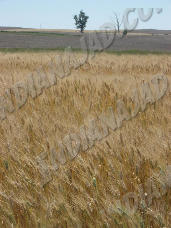 Saskatchewan