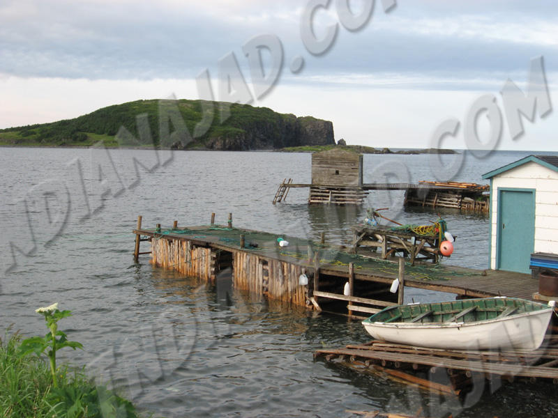 Terre-Neuve - Saint-Lunaire