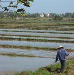 Hoi An