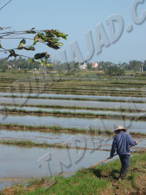 Hoi An