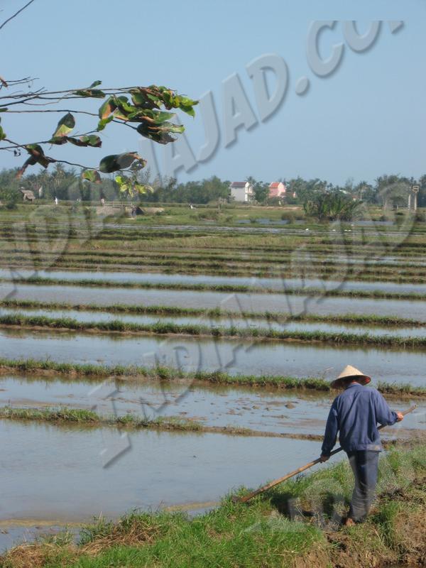 Hoi An