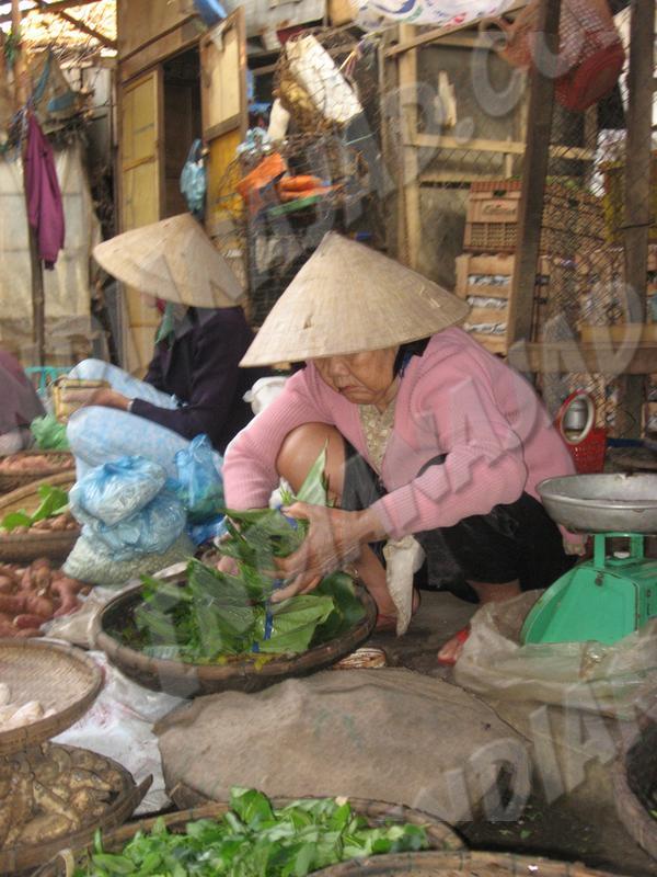 Hoi An