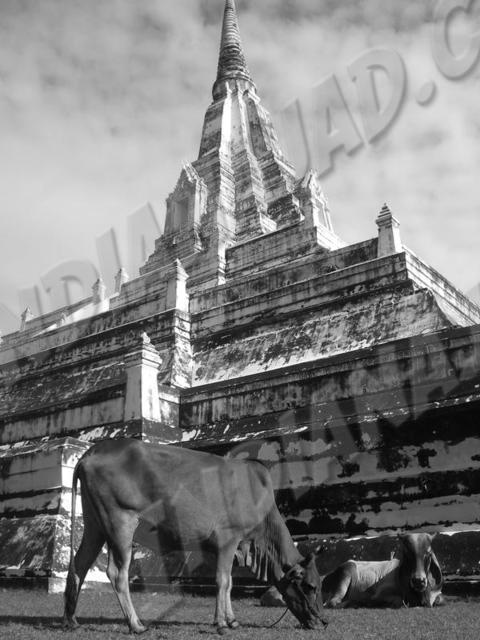 Ayuthaya